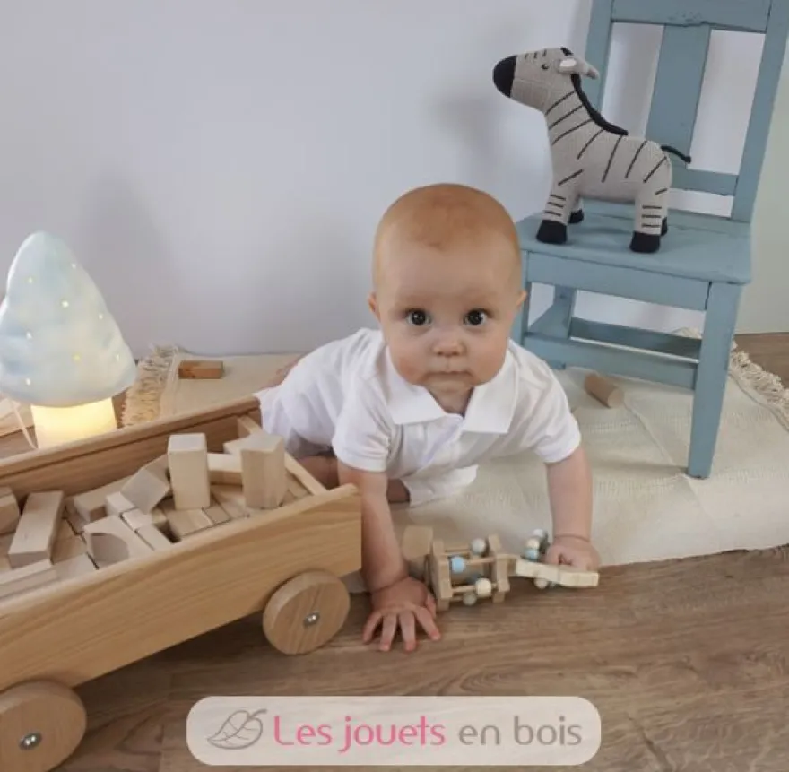 Chariot avec blocs en bois - Egmont Toys
