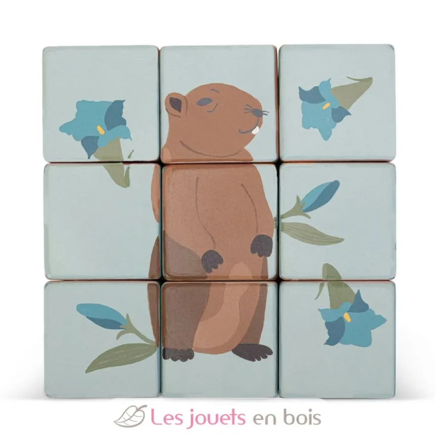 Chariot avec puzzle de cubes animaux - Sevi