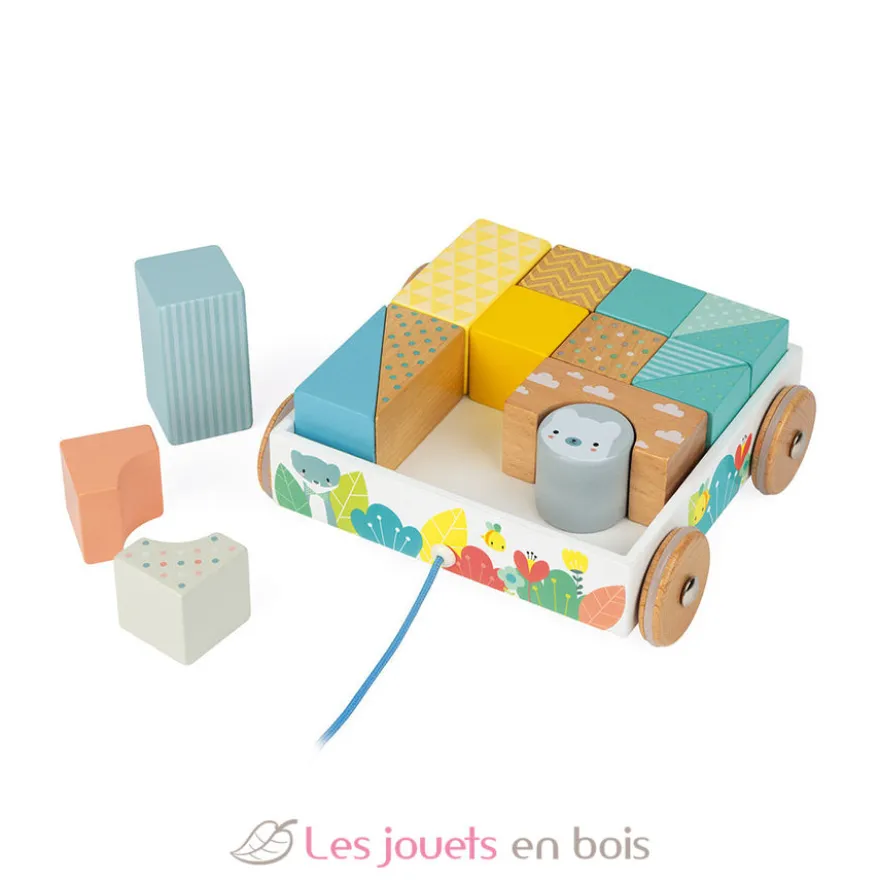 Chariot de cubes à promener Pure - Janod