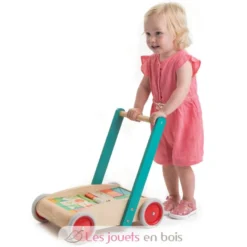 Chariot de marche avec blocs colorés - Tender Leaf Toys