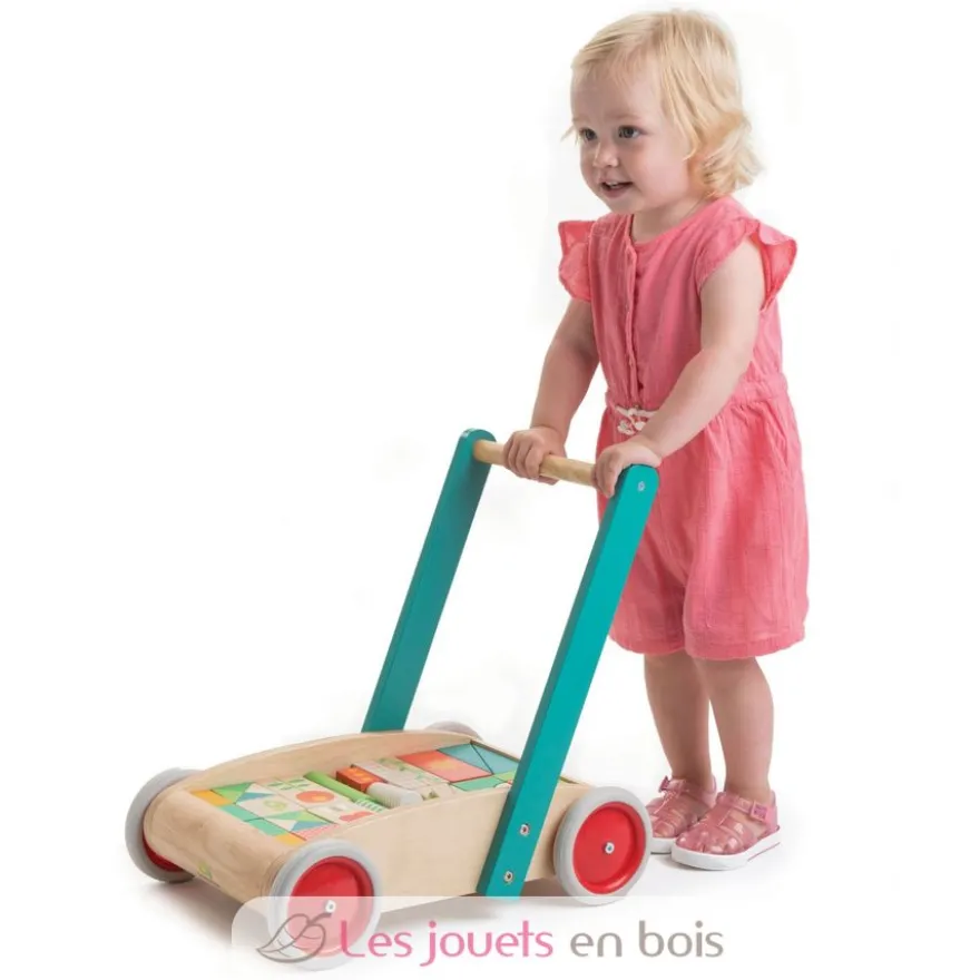 Chariot de marche avec blocs colorés - Tender Leaf Toys