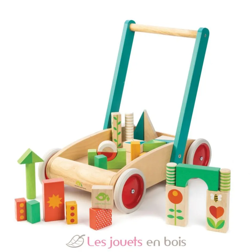 Chariot de marche avec blocs colorés - Tender Leaf Toys