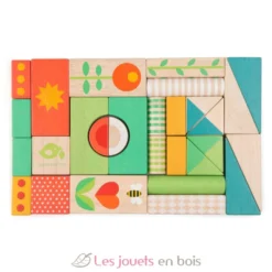Chariot de marche avec blocs colorés - Tender Leaf Toys