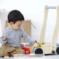 Chariot de marche avec cubes - Plan Toys