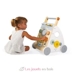 Chariot multi-activités Sweet Cocoon - Janod