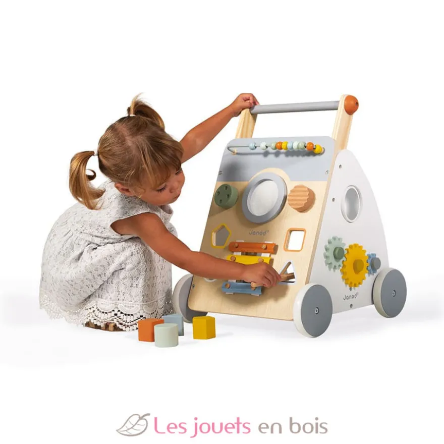 Chariot multi-activités Sweet Cocoon - Janod