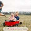 Chariot Wishbone Wagon 3 en 1 - Wishbone Design Studio