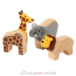 Circuit aventure safari - Brio