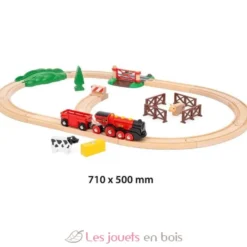 Circuit de train campagne avec locomotive à piles - Brio