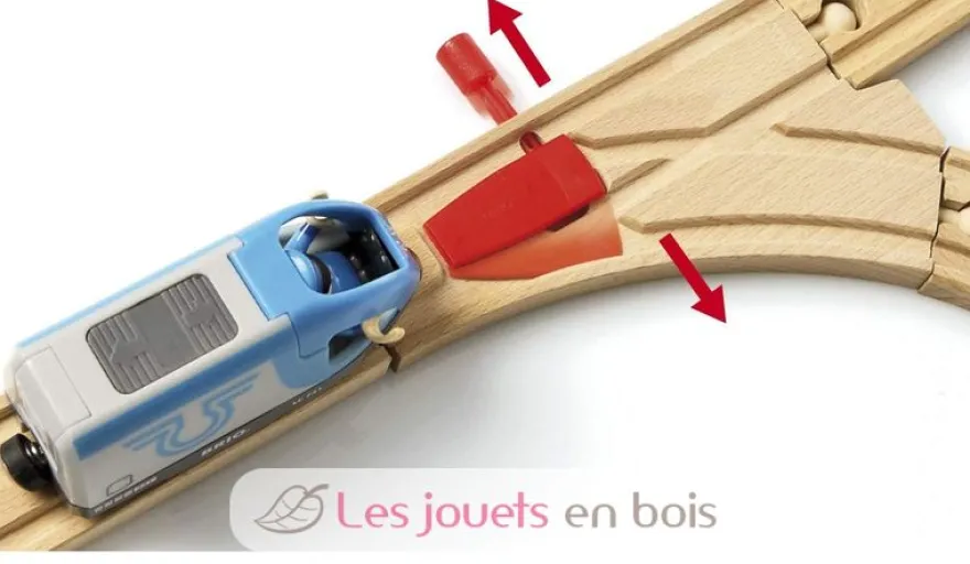 Circuit plateforme voyageurs - Brio