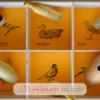 Coffret 6 appeaux - Oiseaux d'Amérique - Quelle est Belle Company