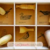 Coffret 6 appeaux - Oiseaux Ouest Americain - Quelle est Belle Company
