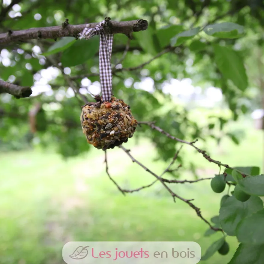 Coffret DIY - Mangeoire pomme de pin - Esschert Design