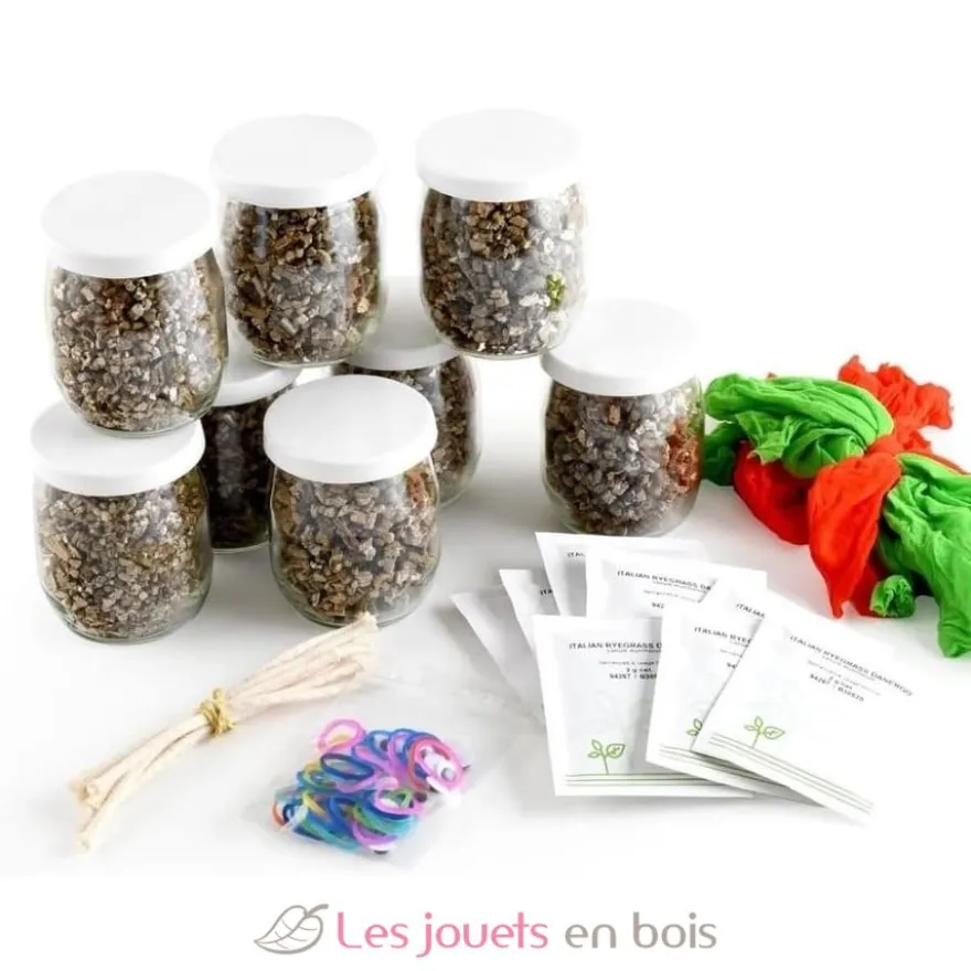 Coffret DIY - Mr Patate à faire pousser - Radis et Capucine