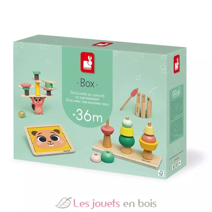 Coffret jeux éducatifs 36 mois - Janod
