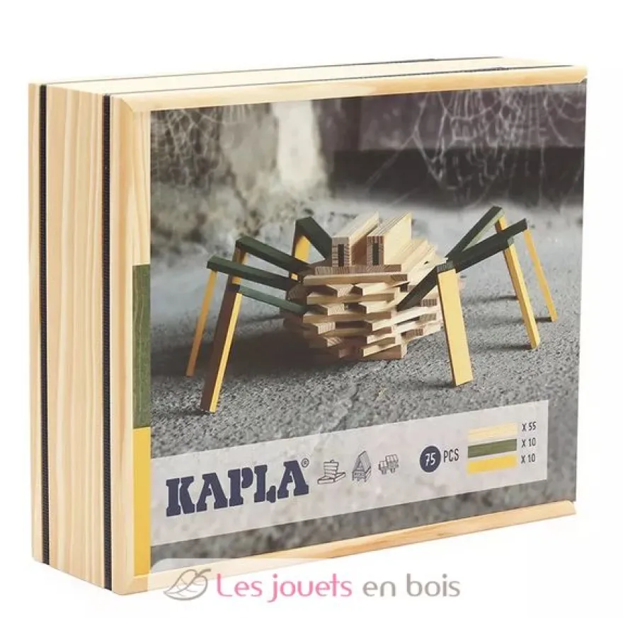 Coffret Kapla L'araignée - Kapla