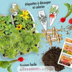 Coffret Mini Potager - Radis et Capucine