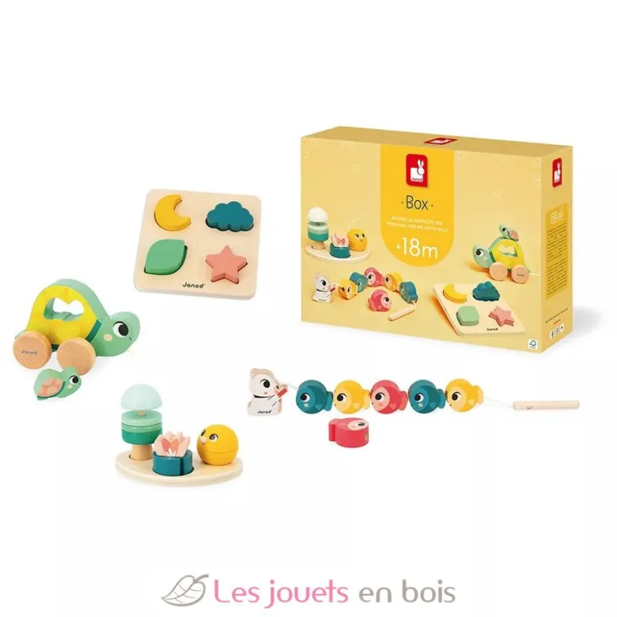 Coffret motricité fine 18 mois - Janod