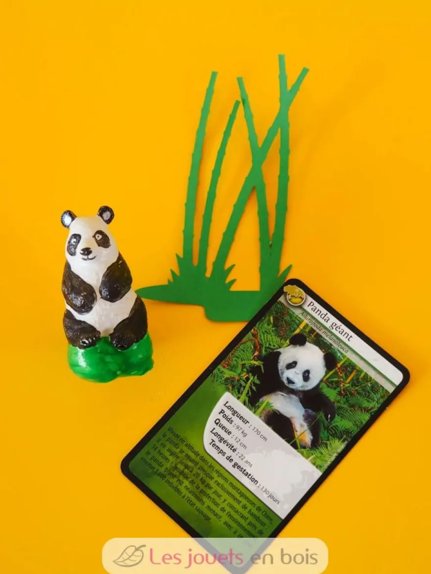 Coffret moulage Panda géant - mako moulages