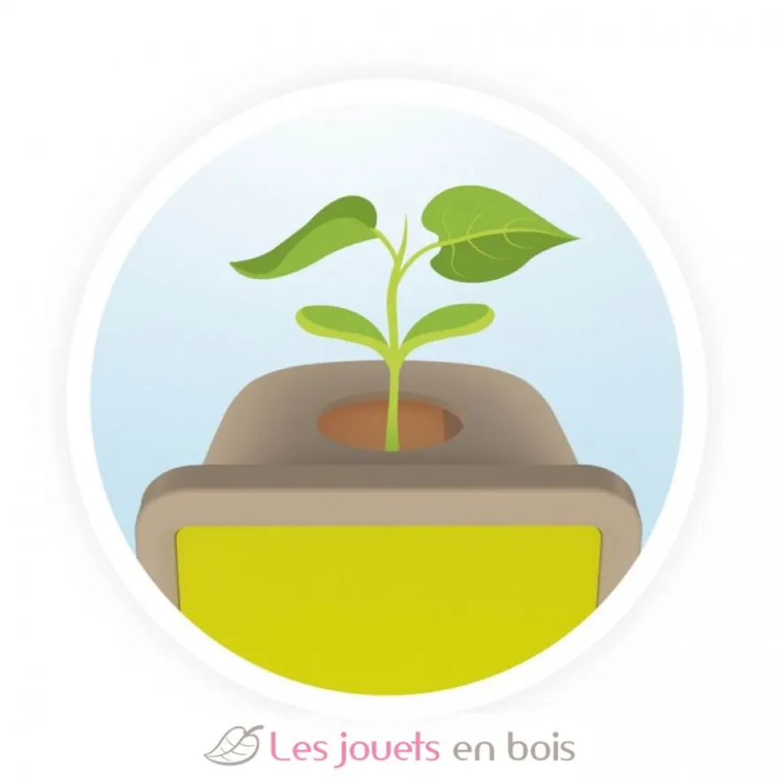 Coffret Petites pousses - Buki France