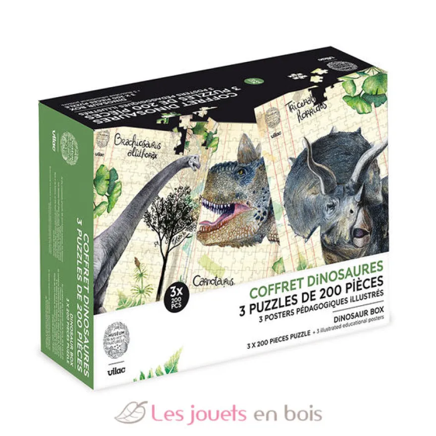 Coffret 3 puzzles dinosaures et posters - Vilac