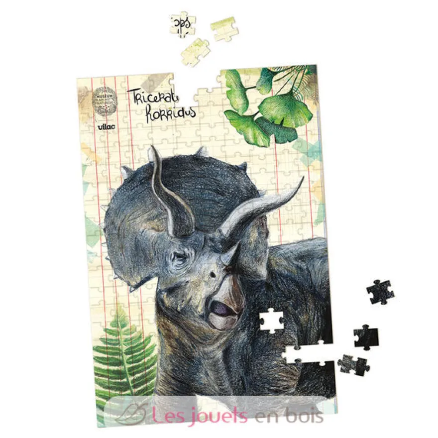 Coffret 3 puzzles dinosaures et posters - Vilac