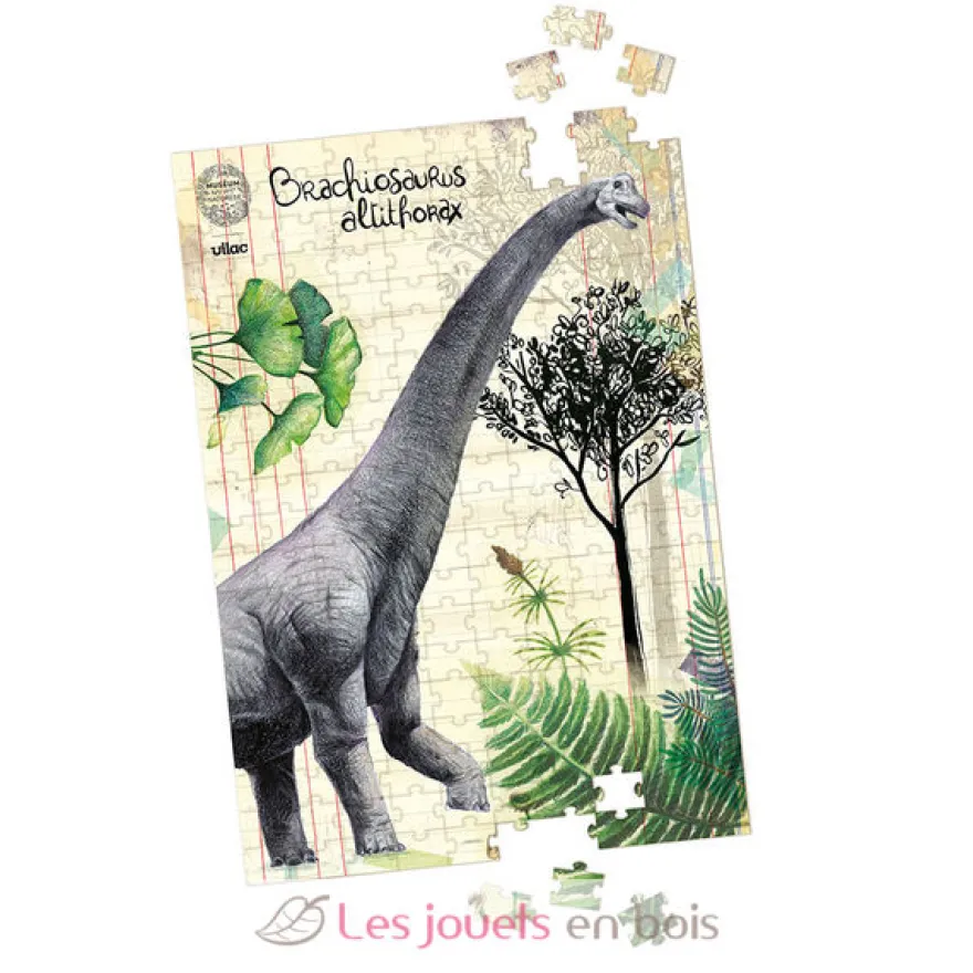Coffret 3 puzzles dinosaures et posters - Vilac