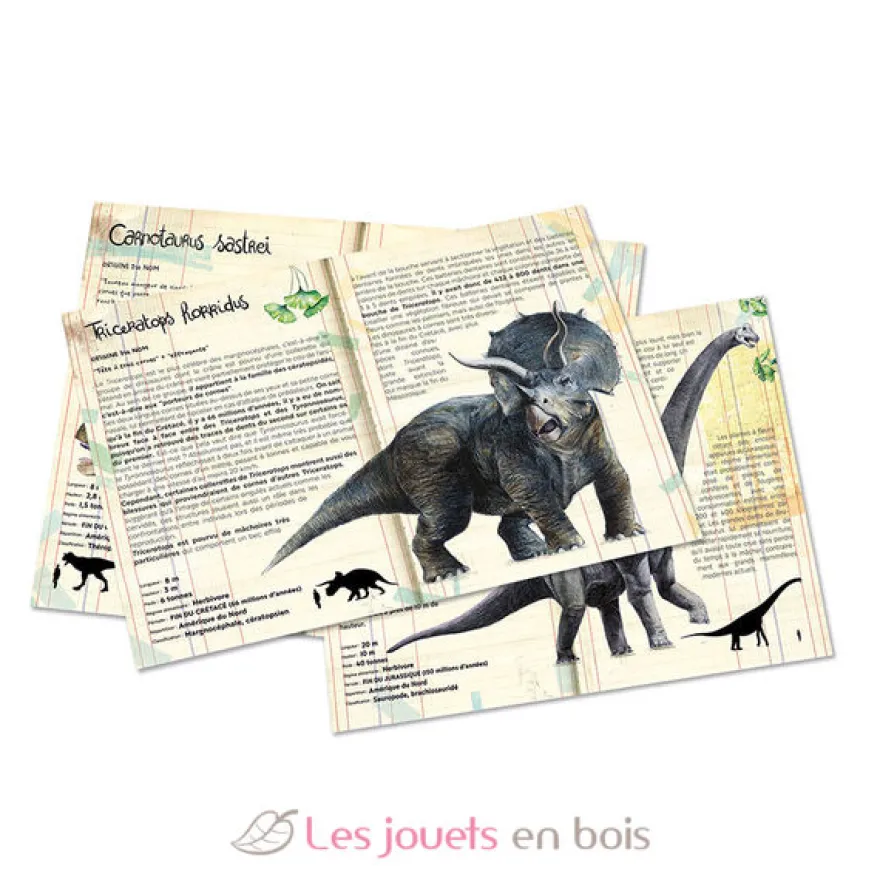 Coffret 3 puzzles dinosaures et posters - Vilac