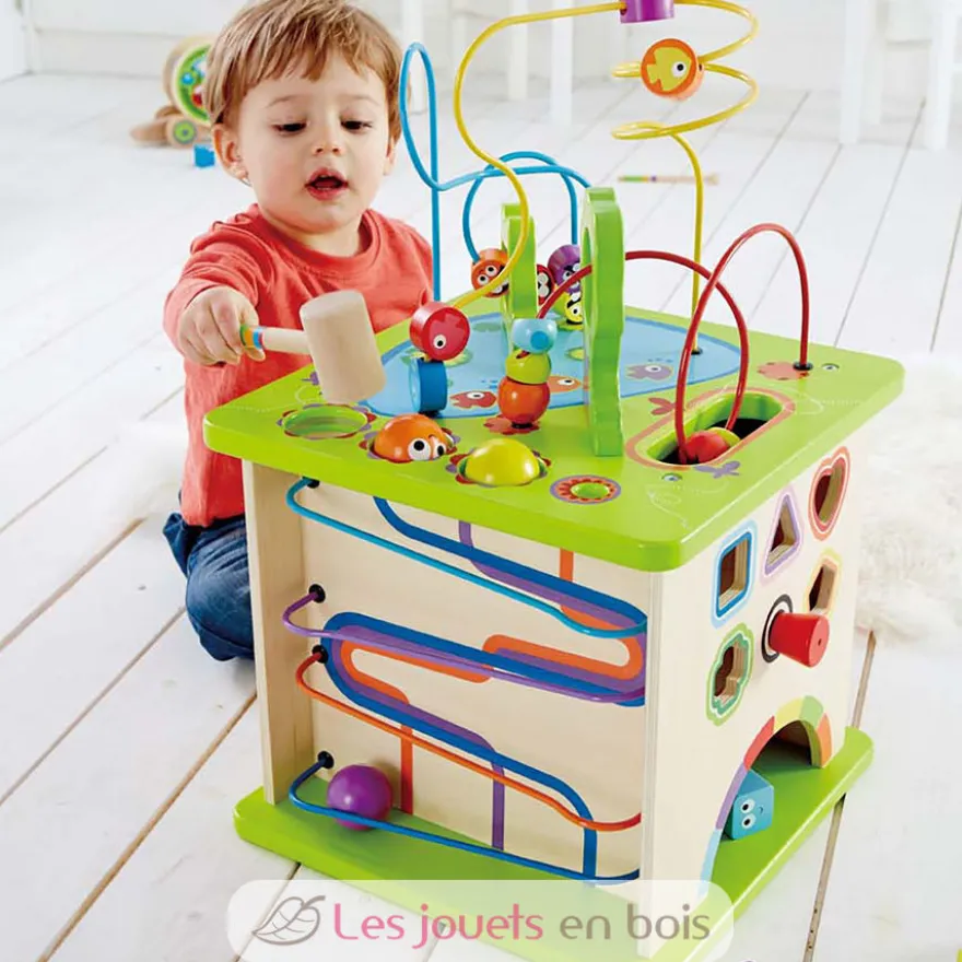 Cube d'activités - Hape Toys