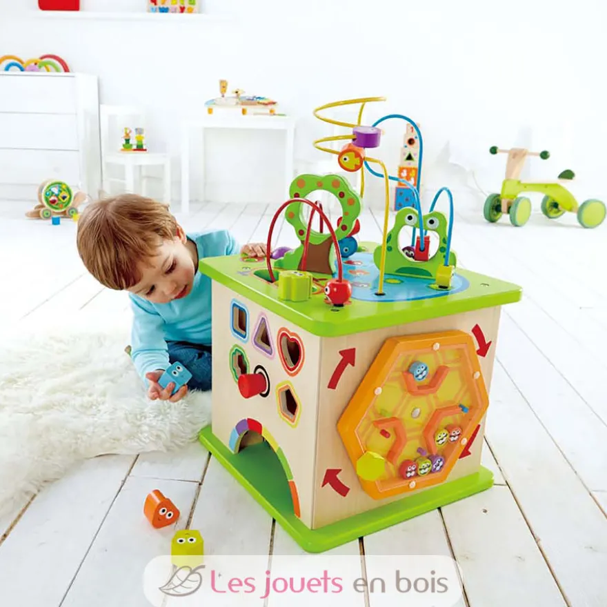 Cube d'activités - Hape Toys