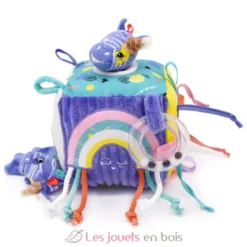 Cube d'activités Kiprokos le zèbre violet - Les Déglingos