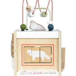 Cube de motricité Arctic - Small Foot Compagny