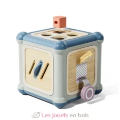 Cube de motricité 10 en 1 - Topbright