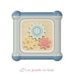 Cube de motricité 10 en 1 - Topbright
