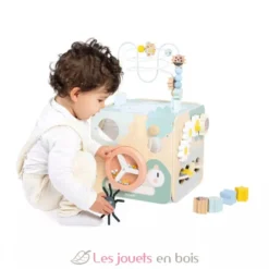 Cube multi-activités Sweet Cocoon - Janod