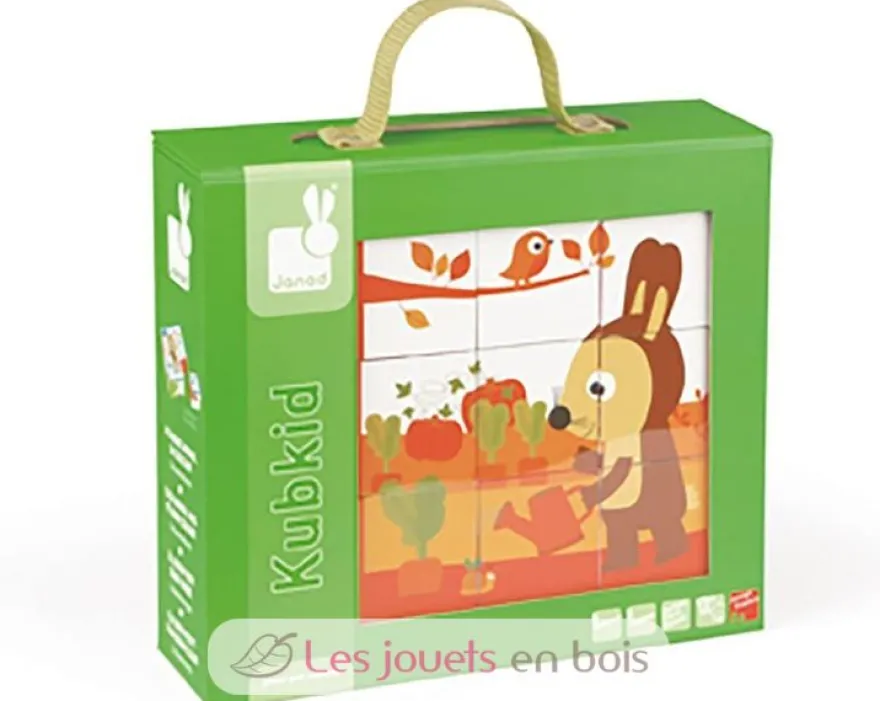 Cubes Color Animal - Janod