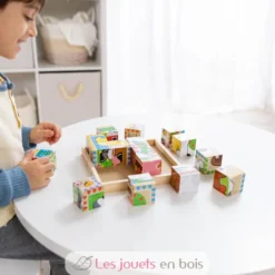 Cubes en bois animaux de la ferme - Melissa & Doug