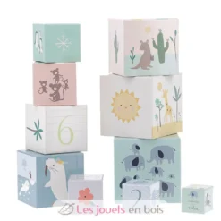 Cubes gigognes Animaux du monde Sarah Betz - Vilac