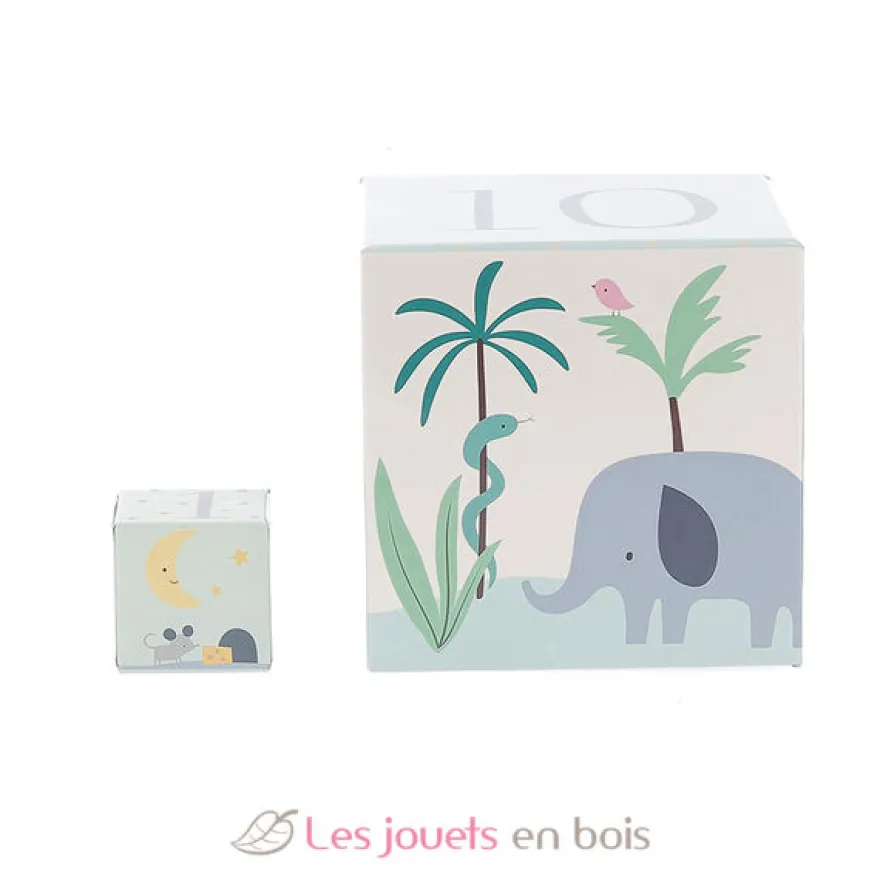 Cubes gigognes Animaux du monde Sarah Betz - Vilac