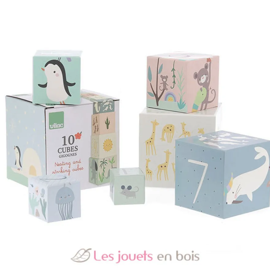 Cubes gigognes Animaux du monde Sarah Betz - Vilac