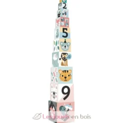 Cubes Gigognes - Les Animaux - Vilac