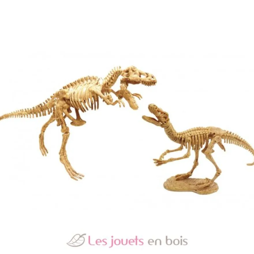 Dino Dig T-Rex et Raptor - Buki France