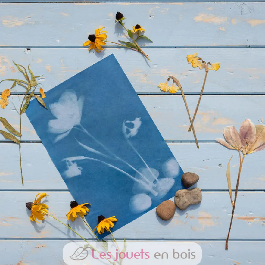 DIY Papier photo solaire A4 - Esschert Design