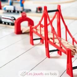 Double pont suspendu - Brio