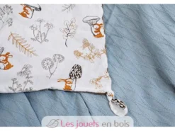 Doudou ours marron à histoires 25 cm - Doudou et Compagnie