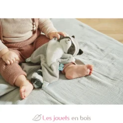 Doudou raton laveur Gaston - Kaloo