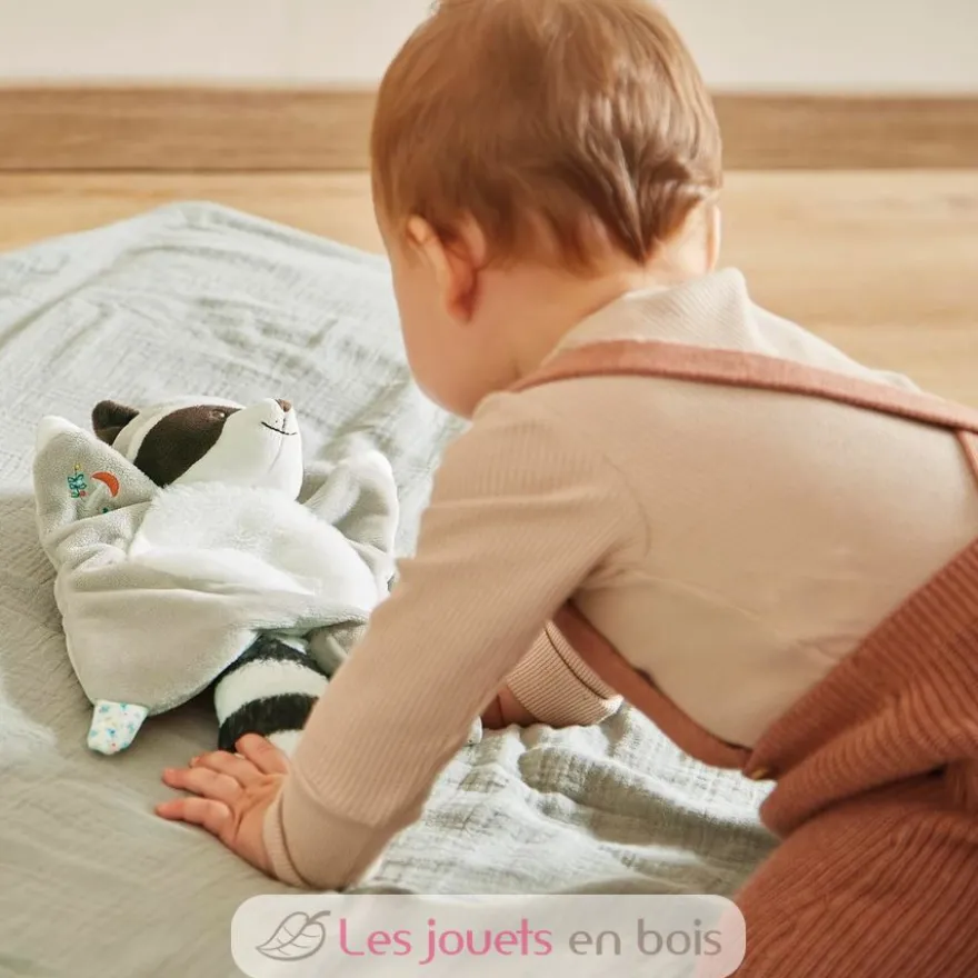 Doudou raton laveur Gaston - Kaloo