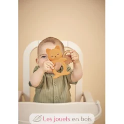 Duo anneau de dentition en silicone et anneau réfrigéré Ecureuil - Kaloo