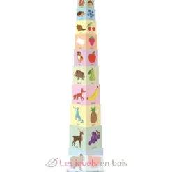 Eco-cubes - Joue et apprends - Sassi Junior
