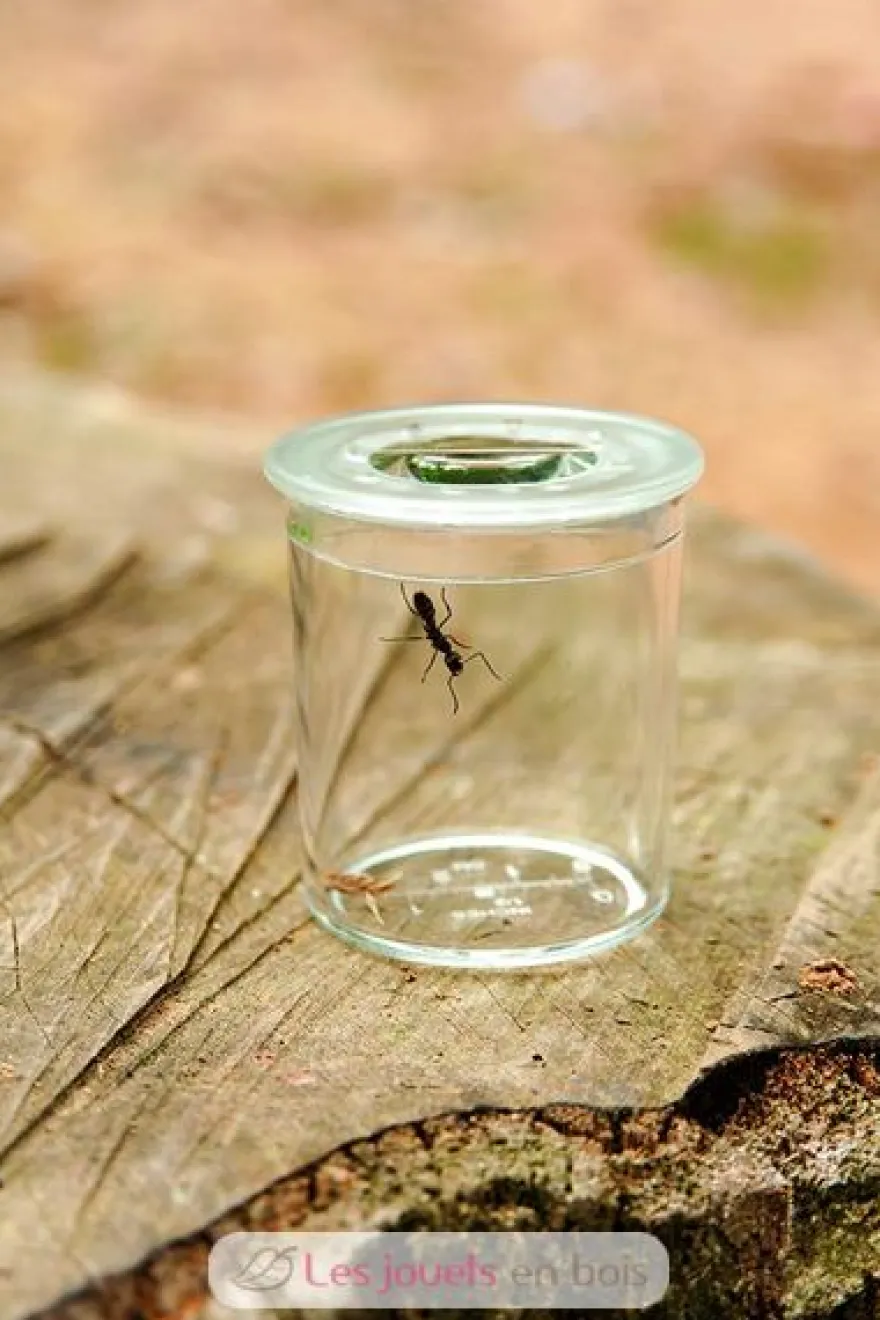 Explorateur d'insectes - Buki France